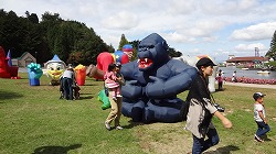 image daylily circus02.jpg