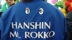 image daylily toy02.jpg