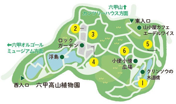 六甲高山植物園 マップイラスト