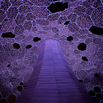 六甲ミーツ・アート 芸術散歩2010