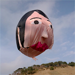 六甲ミーツ・アート 芸術散歩2010 六甲ミーツ・アート 芸術散歩2010
