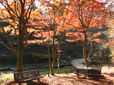 六甲高山植物園