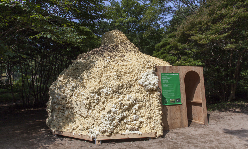 新山浩＋神戸市立科学技術高校