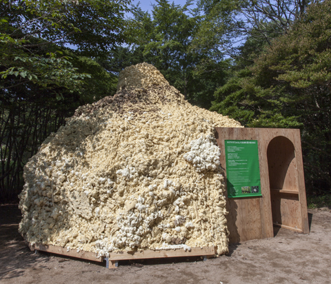 新山浩＋神戸市立科学技術高校