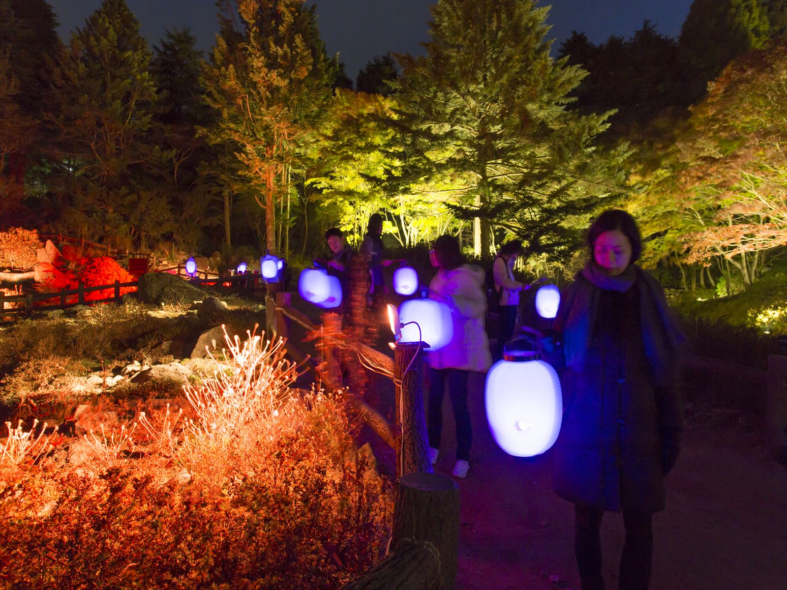 髙橋匡太 ≪Glow with Night Garden Project in Rokko提灯行列ランドスケープ≫ 2016年　六甲高山植物園