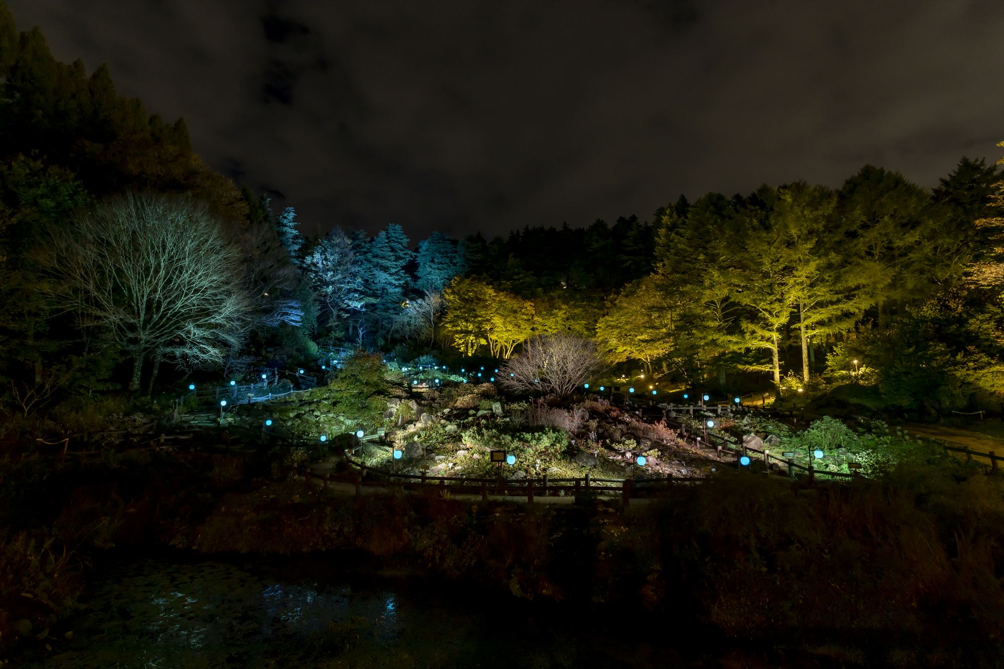 髙橋匡太「Glow with Night Garden Project in Rokko 提灯行列ランドスケープ」　六甲高山植物園