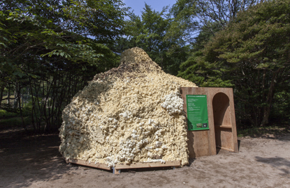 新山浩＋神戸市立科学技術高校