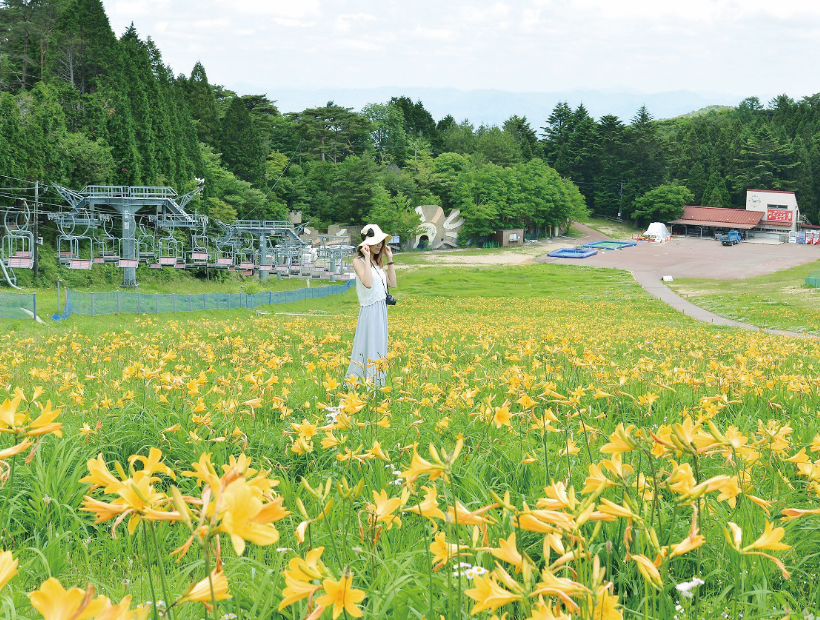 イベント＆グルメイメージ