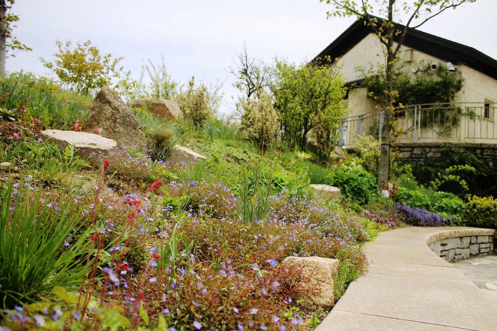 English Garden  Rokko Garden Terrace / Nature Experience Observatory Rokko  Weeping