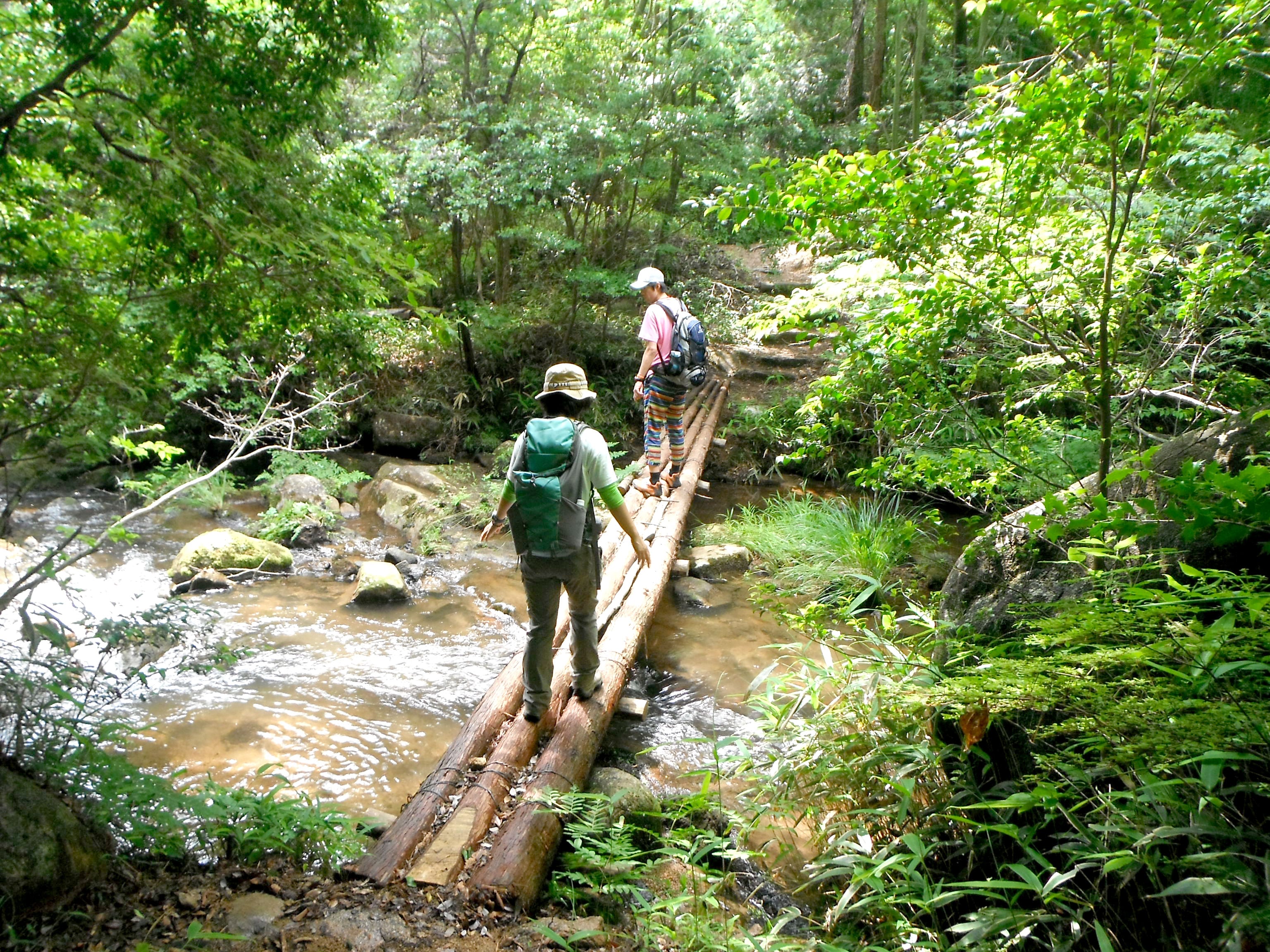 The rich nature of Mt. Rokko nurtures