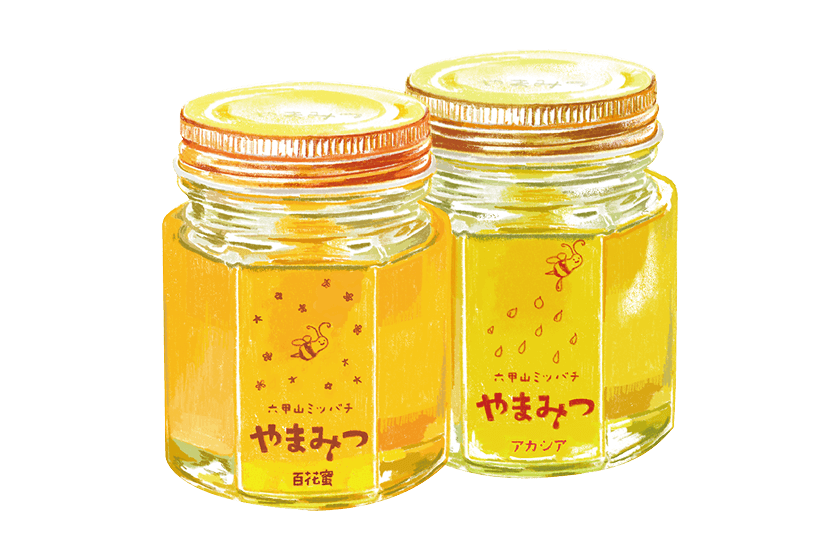 六甲山ミツバチ やまみつのイラスト