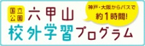 体験学習プログラム
