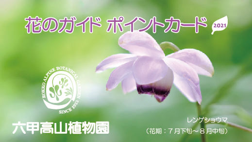 イベント欄サムネ用