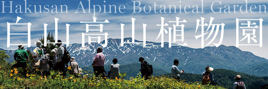 白山高山植物園