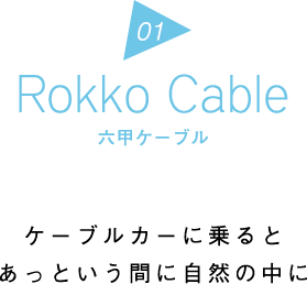Rokko Cable 六甲ケーブル | ケーブルカーに乗るとあっという間に自然の中に