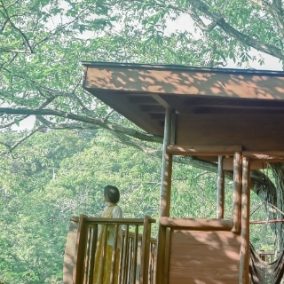 Treehouse