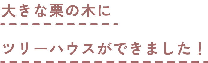 大きな栗の木にツリーハウスができました！