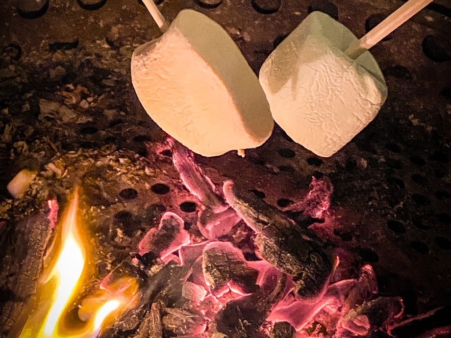 ガーデン×焚き火 焼きマシュマロ