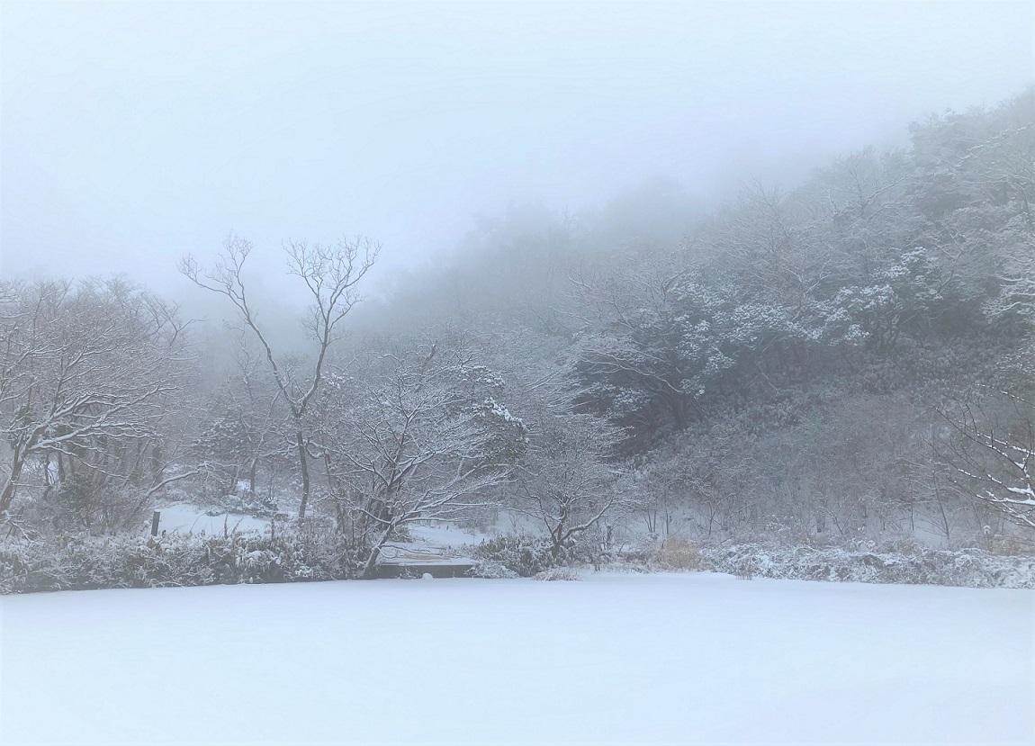 幻想的な雪景色