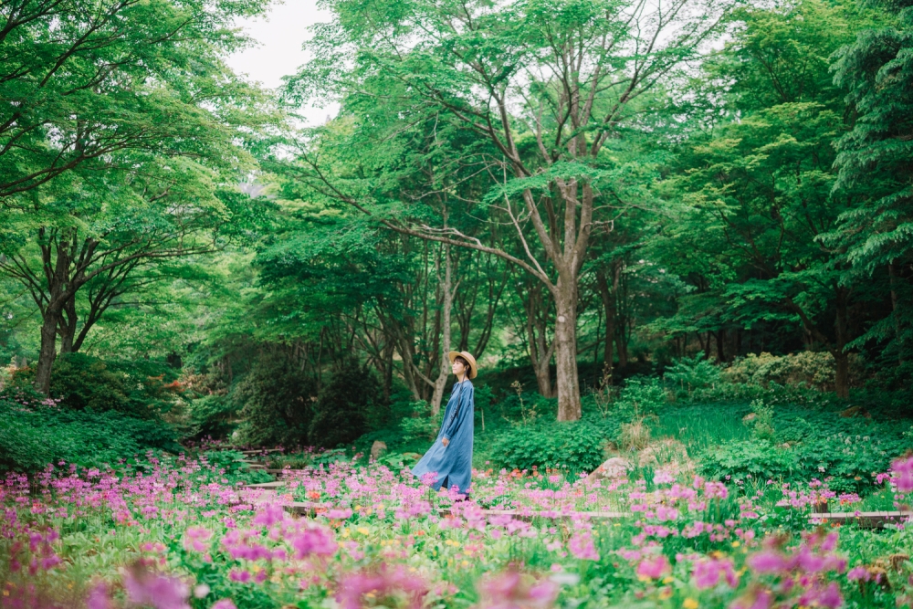 六甲高山植物園