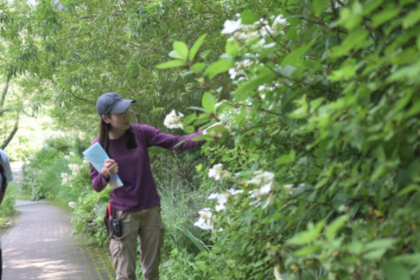 草摘み花摘みガーデンツアー