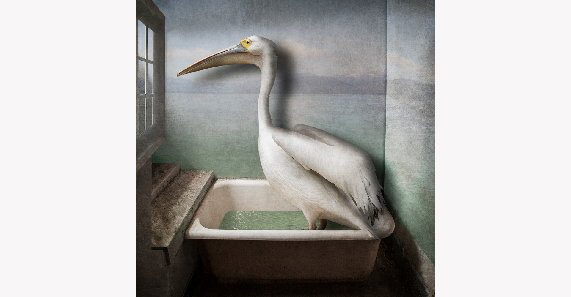 キャロル・アーブ／Carol ERB作品