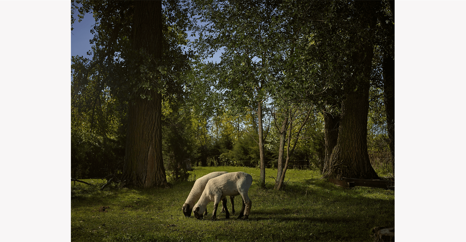 アール・ジェイ・カーン／R.J.KERN作品