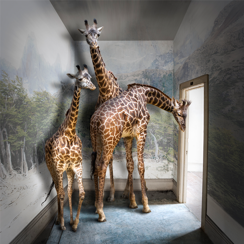 アーティストイメージ