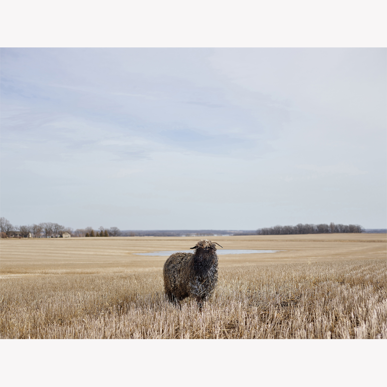 アーティストイメージ