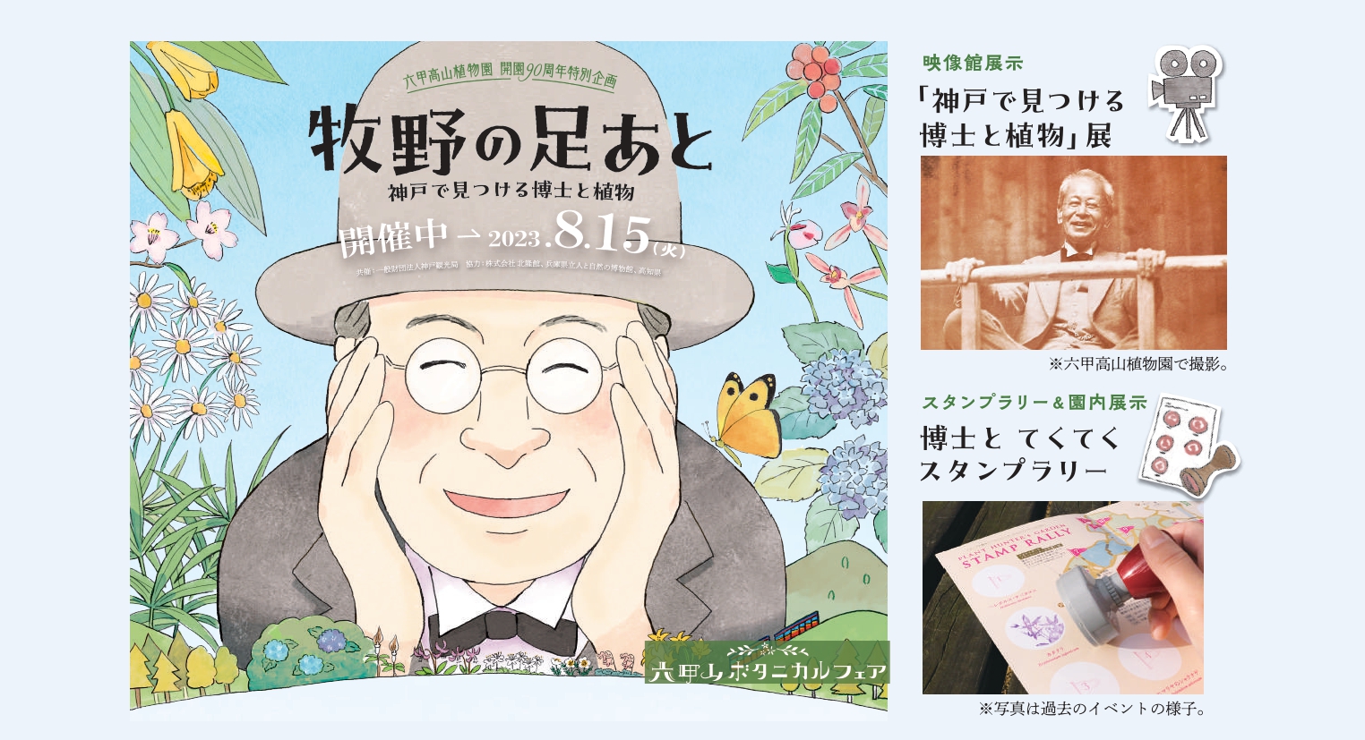 [ขยายเวลาเนื่องจากความนิยม! 】 Mt. Rokko Botanical Fair รอยเท้า Makino