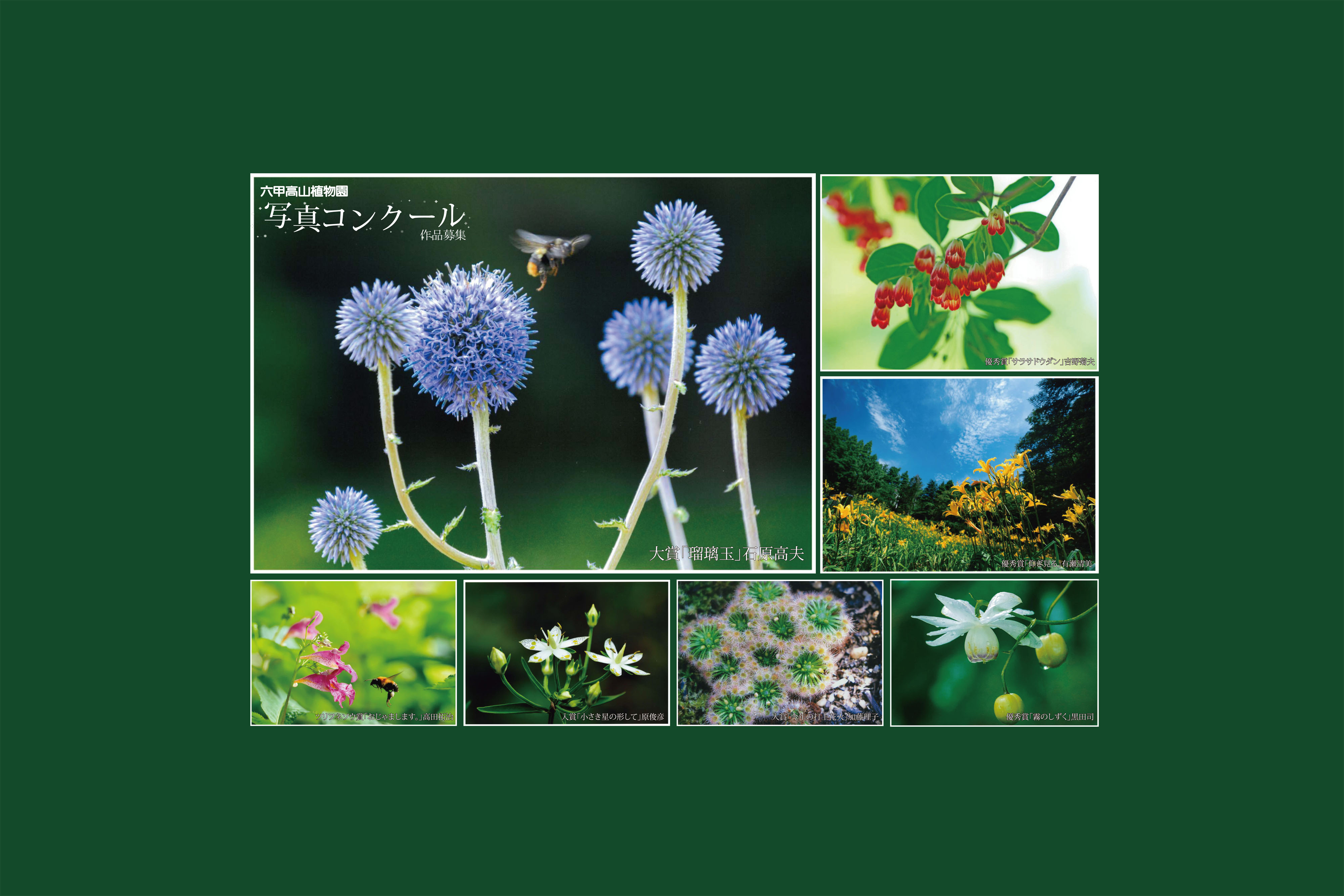 【9/1~受付開始】写真コンクール作品募集のおしらせ