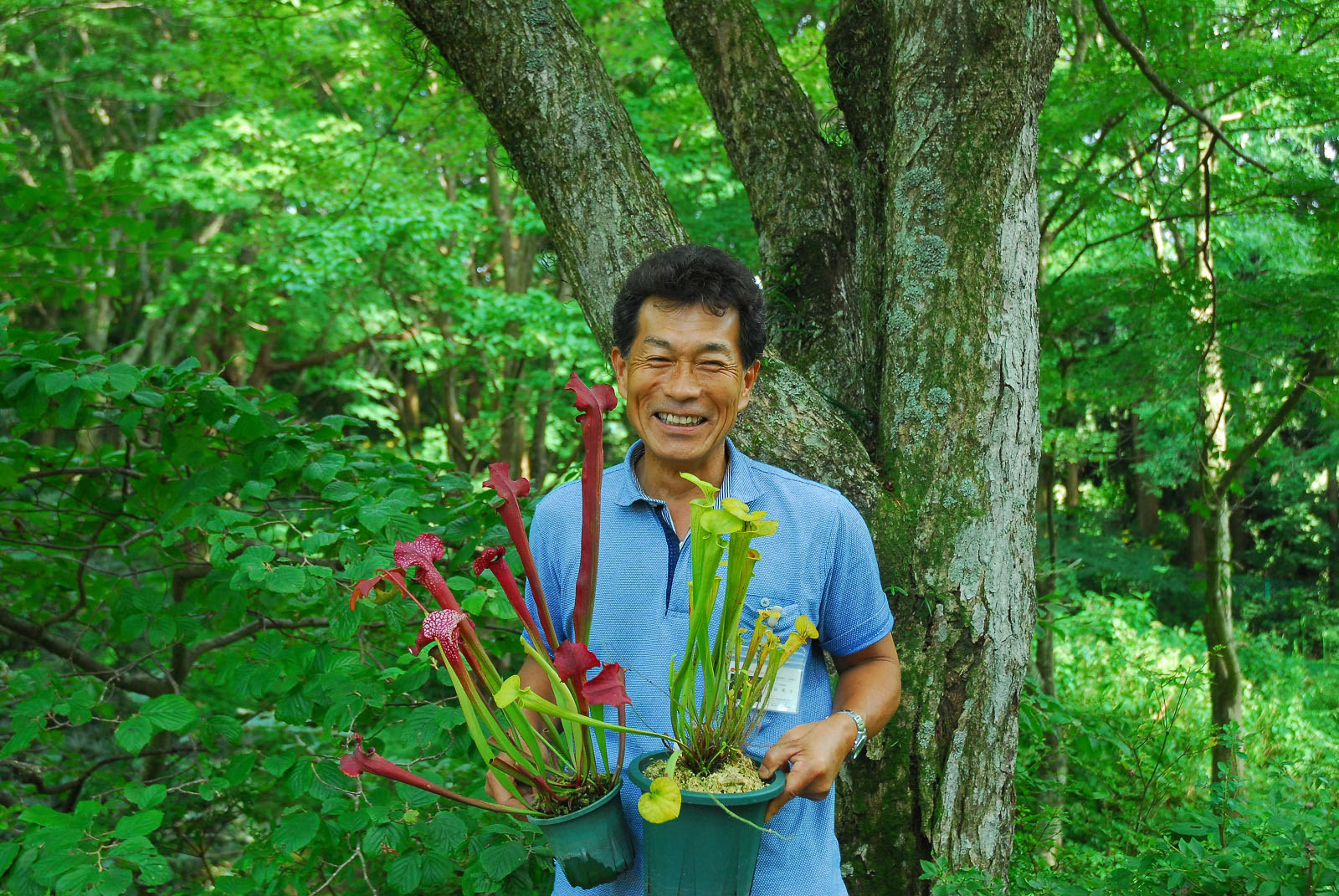 食虫植物の寄せ植え体験【7/1~予約開始】