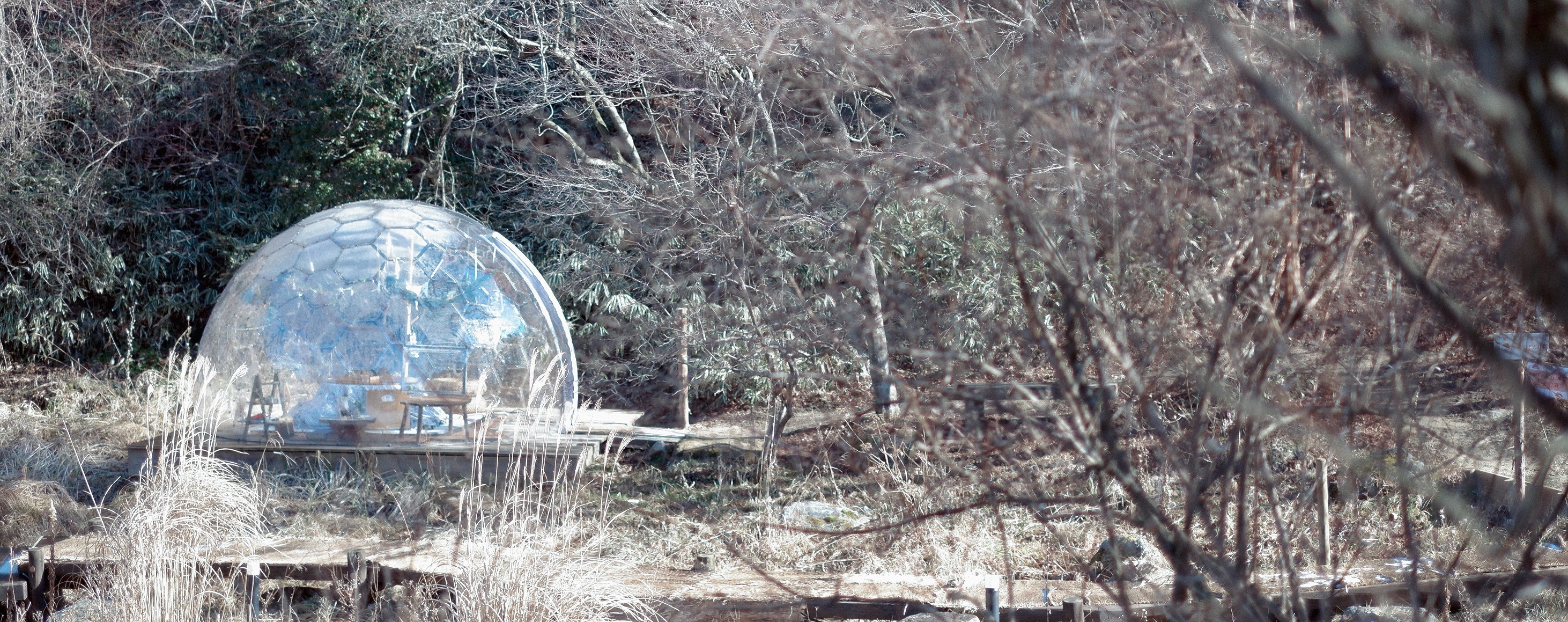 SIKIドームぬくぬくこたつプラン