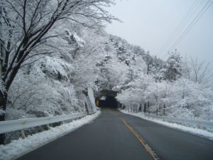 六甲 有馬ドライブ満喫プラン21 神戸 六甲山 公式おでかけサイト