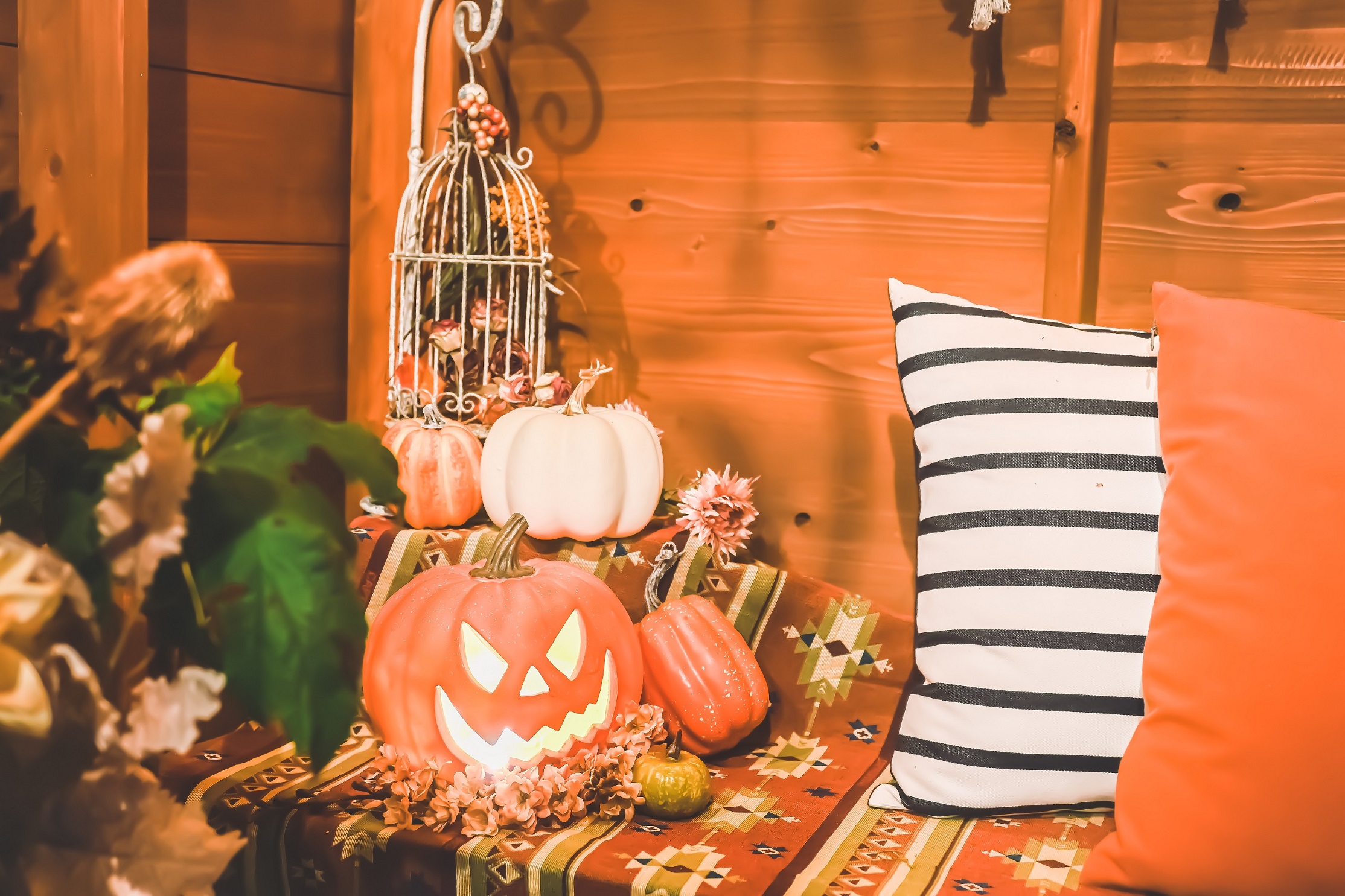 森のツリーハウスがハロウィンデザインに 神戸 六甲山 公式おでかけサイト