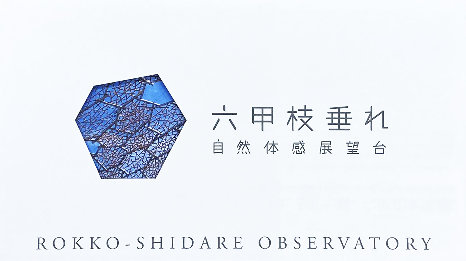 『シダレミュージアム』入場券提示サービス