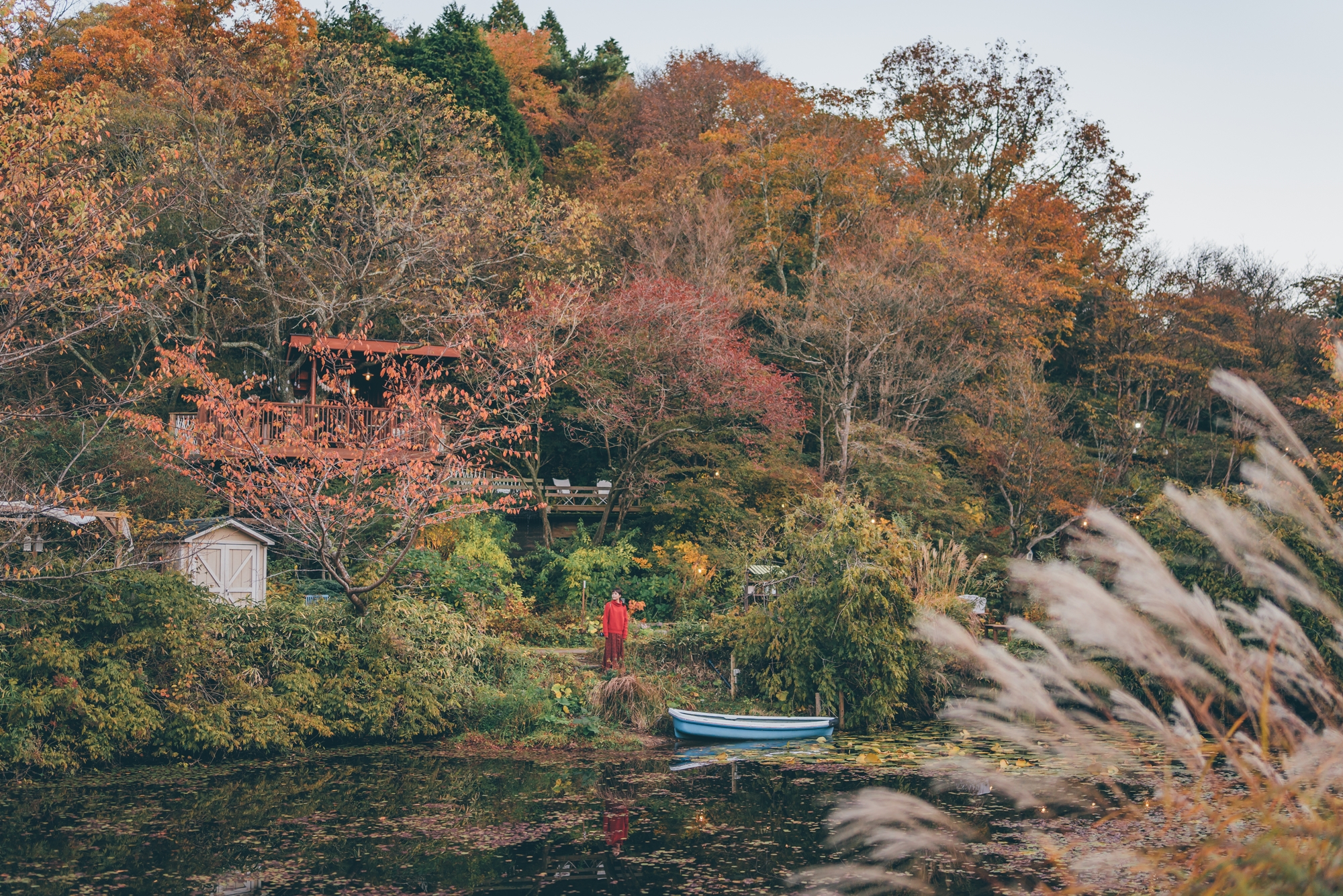 SIKI Garden Autumn Leaves