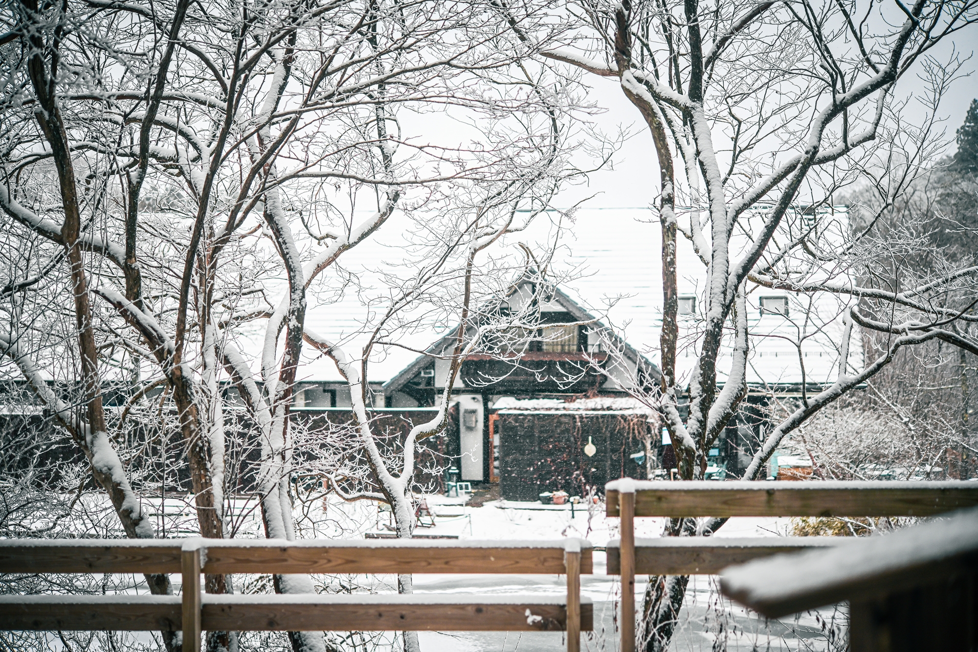 SIKIガーデン冬雪景色