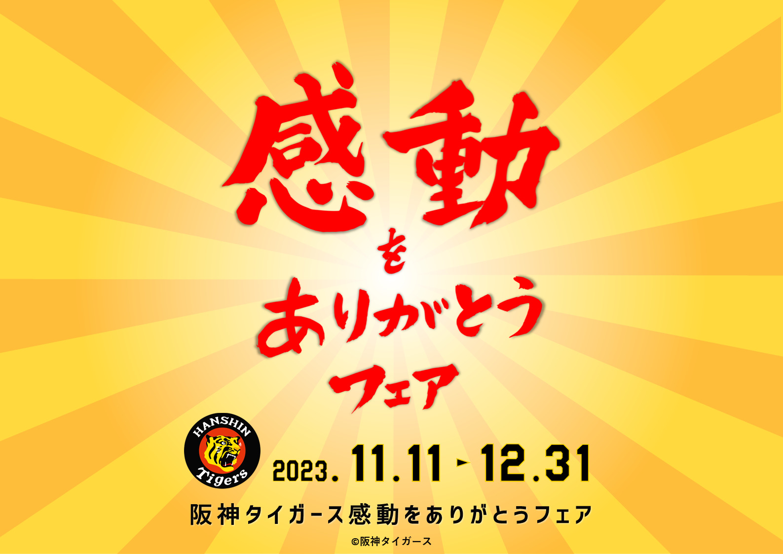11/11(土)～感動をありがとうフェア開催！！