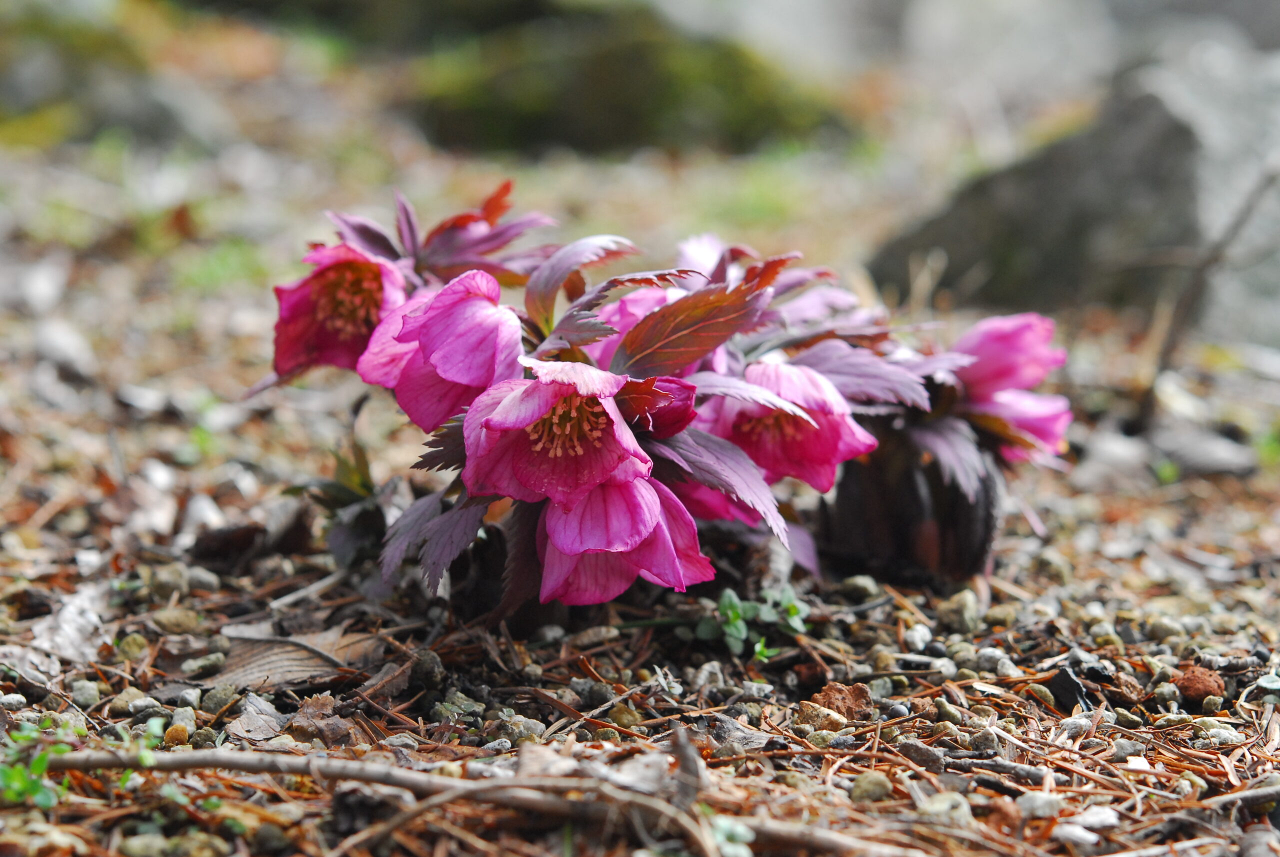 【予約受付中！】横山直樹氏特別ガイド