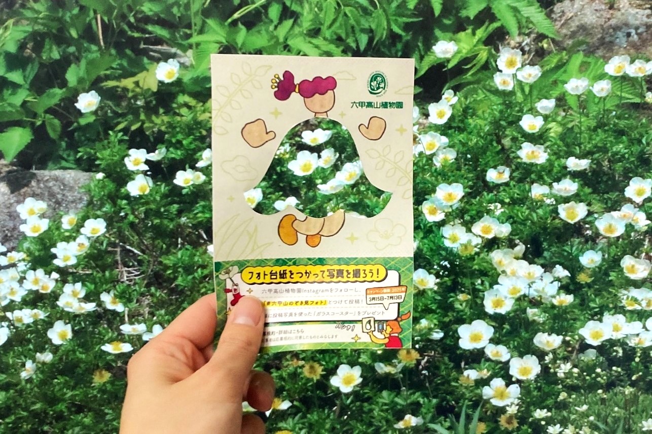 Instagram投稿キャンペーン！「＃六甲山のぞき見フォト」