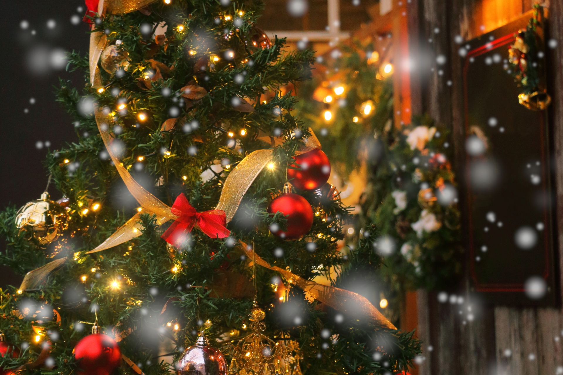 クリスマスディナー ご予約受付中！