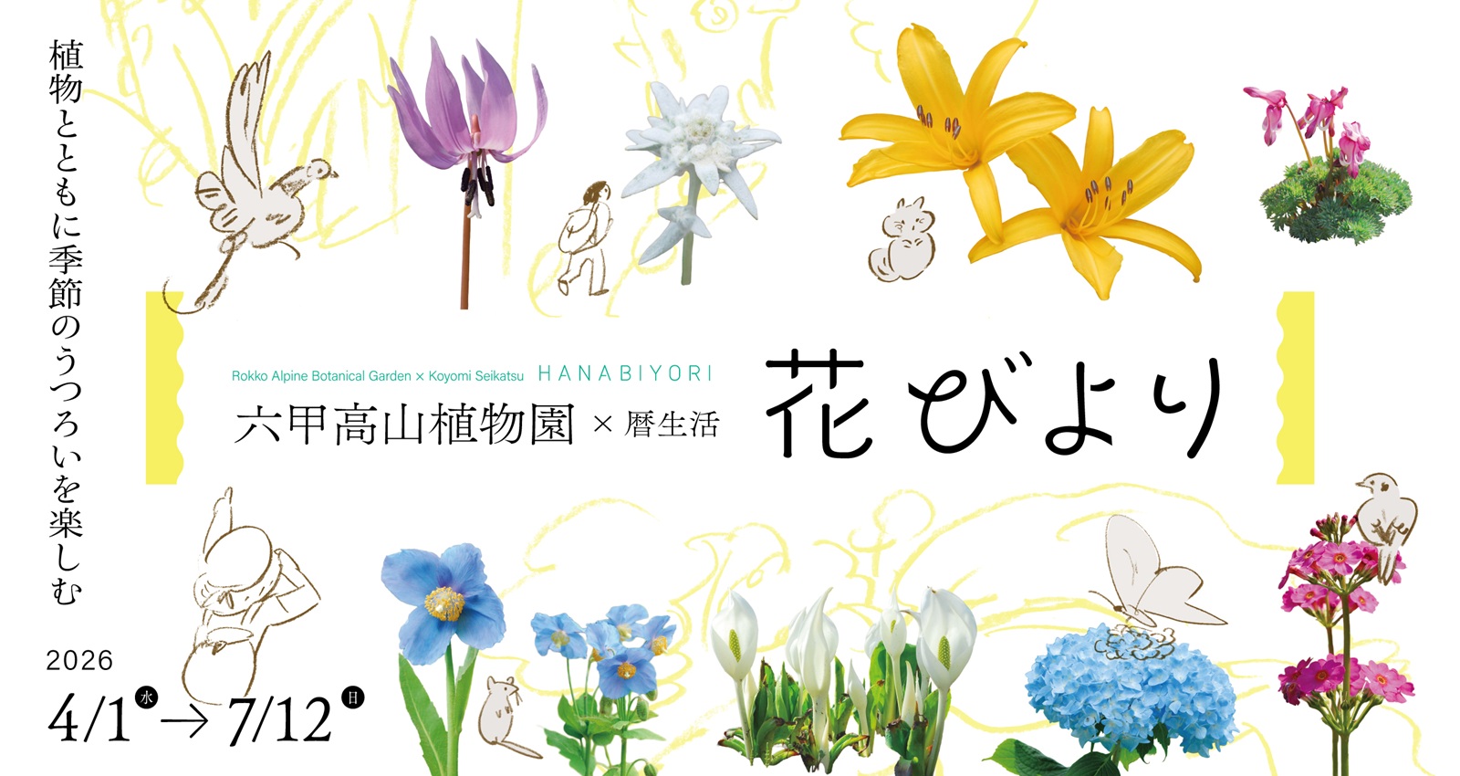 【4/1～】 六甲高山植物園×暦生活　花びより