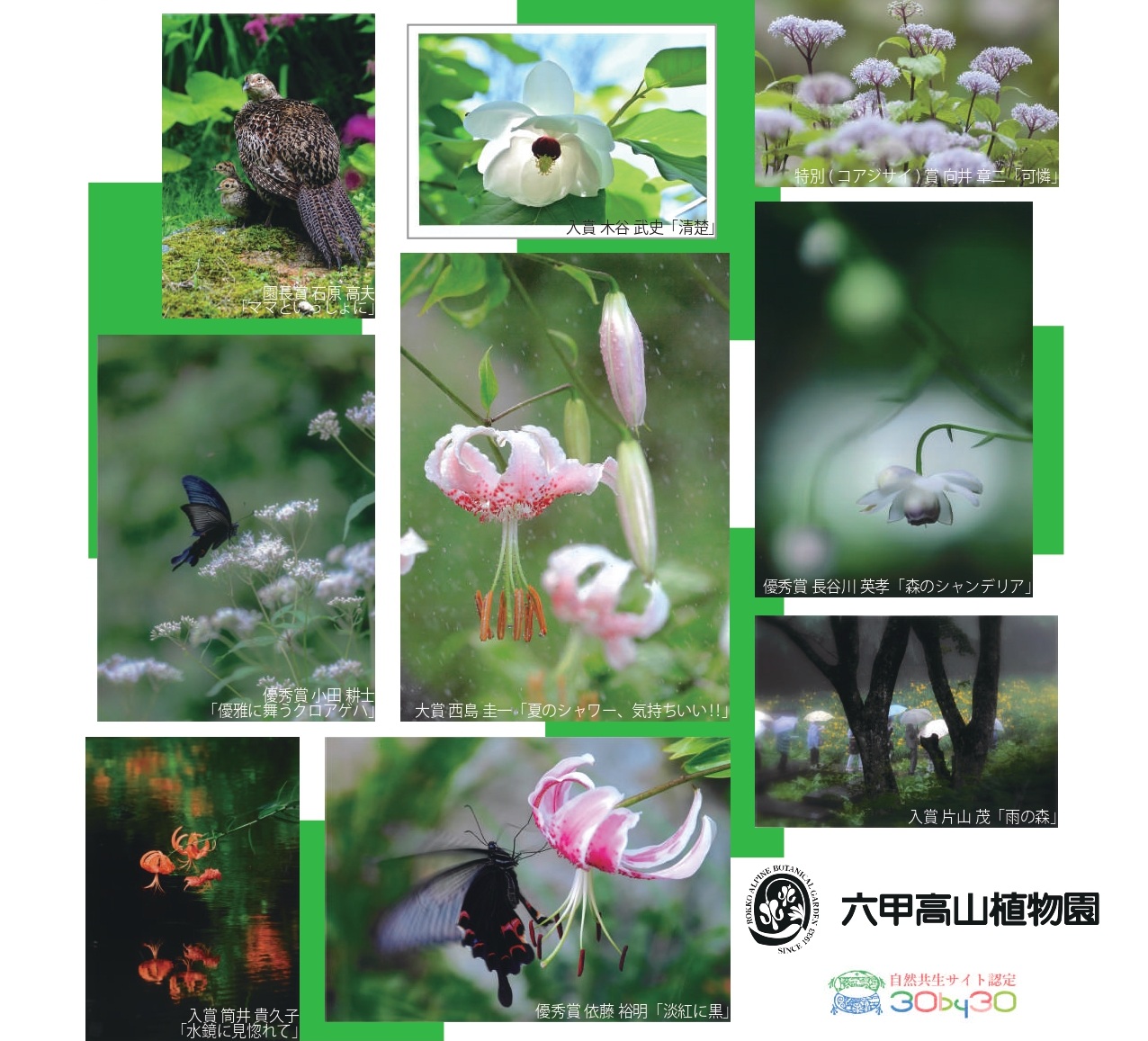 【9/1～受付開始】2026年 六甲高山植物園 写真コンクール