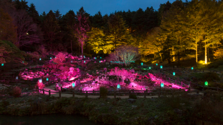 イベント写真