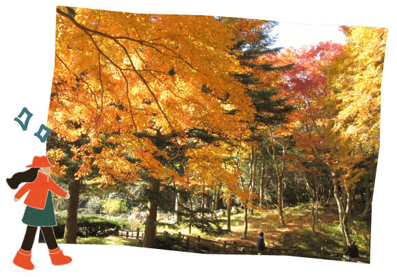 六甲高山植物園