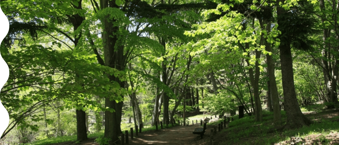 六甲高山植物園