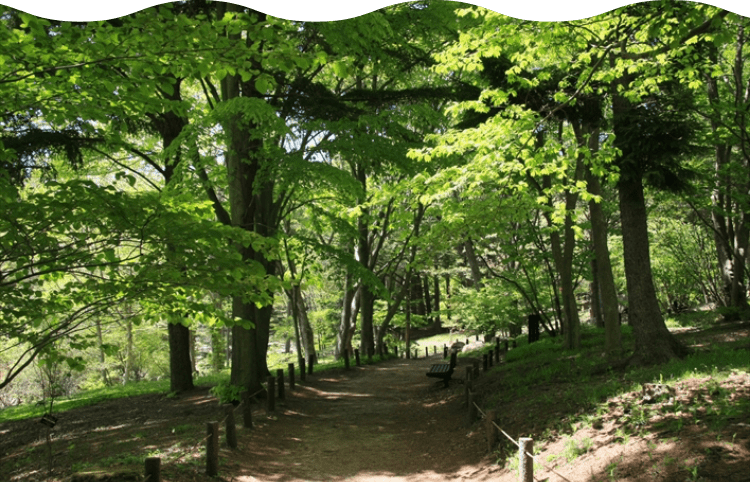 六甲高山植物園