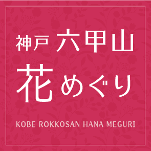 六甲山花めぐり