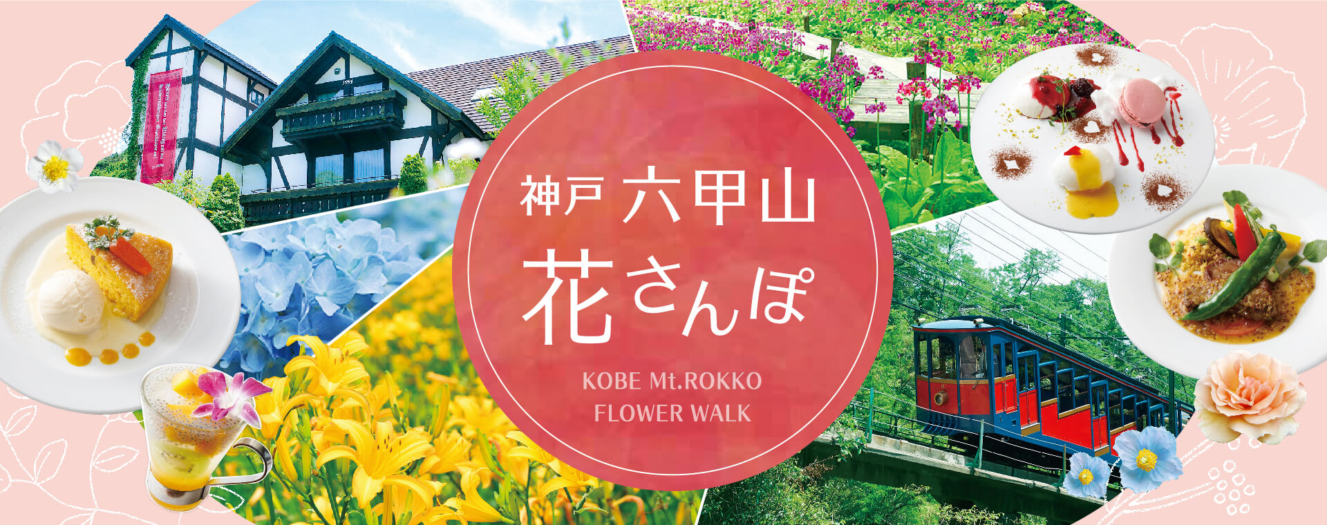 六甲山の四季折々の花